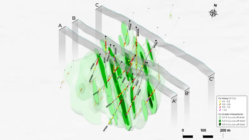 3D perspective of sections produced for CopperCorp
