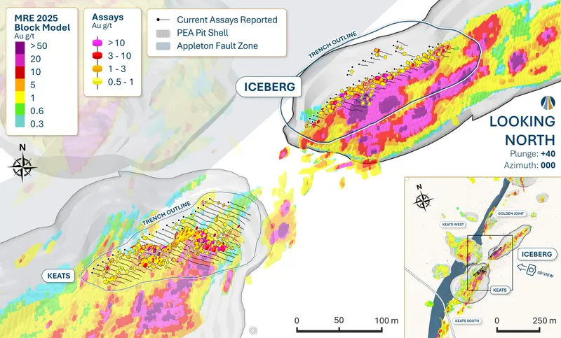 Iceberg 3D view produced for New Found Gold