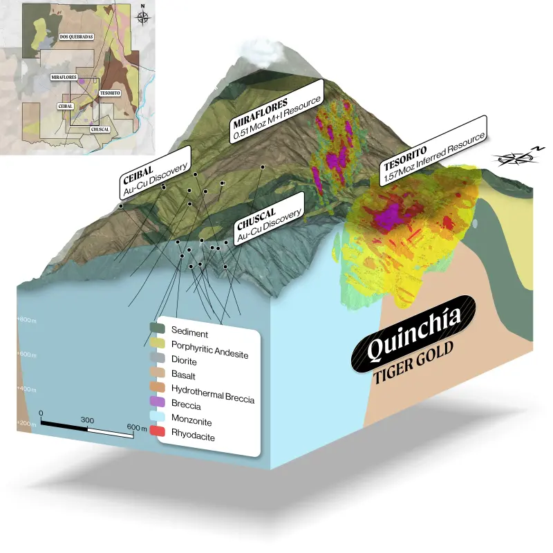 Quinchía 3D geological model produced for Tiger Gold