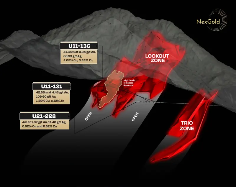 Niblack Leapfrog model view produced for NexGold