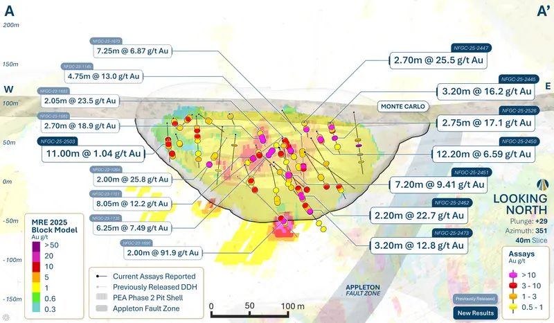 Monte Carlo long section produced for New Found Gold